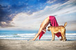 Christmas yoga with dog