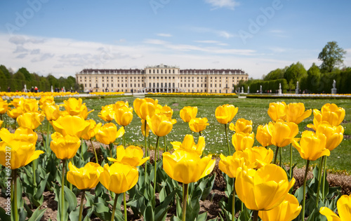 Photo: Schonbrunn Palace Gardens at Vienna, Austria Schonbrunn Palace Gardens at Vienna, Austria
