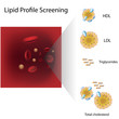 Lipid profile blood test, eps10