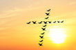 Beautiful & heavenly sky in the evening with birds forming holy