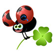 coccinella vector