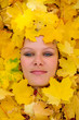 Foto: Miss Herbst Miss Herbst