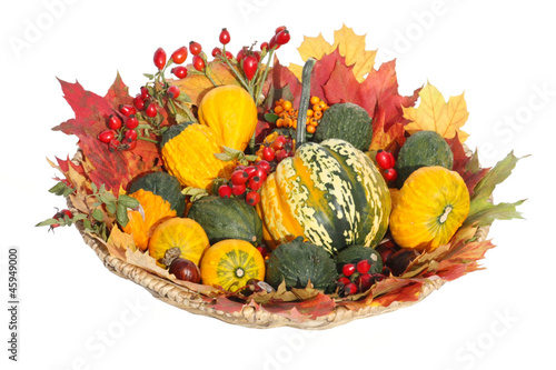 Photo: Zierkürbisse und Laub - Ornamental Gourds And Leaves Zierkürbisse und Laub - Ornamental Gourds And Leaves