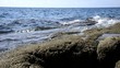 mare scoglio
