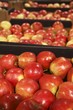 Appetizing red apple  in grocery