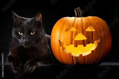 Photo: Halloween pumpkin black cat Halloween pumpkin black cat