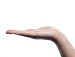 Woman hand presenting -flat- - isolated