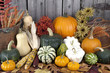 Autumn Harvest