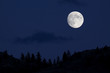 Full Moon over Pine Trees silhouette with midnight blue sky