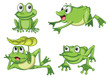 green frogs