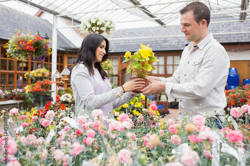 Photo: Couple holding up yellow flower Couple holding up yellow flower