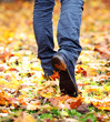 Walking through the autumn leaves