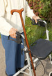 Rollator