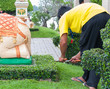 Employees cut grass