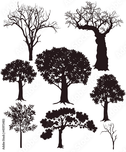 Vector: Baum Silhouetten Baum Silhouetten