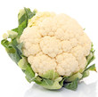 Beau chou fleur