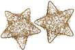 Photo: Christmas stars Christmas stars
