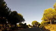 Forest road POV from car moving at sunset, timelapse