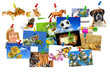 Fotogalerie 12
