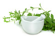 Stevia 4