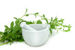 Stevia 5