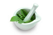 Stevia 7
