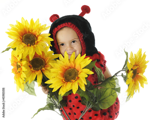 Photo: Peek-a-Boo Ladybug Peek-a-Boo Ladybug