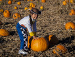 Pumpkin Partch