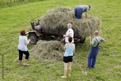 Photo: Family gathering hay Family gathering hay