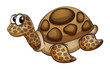 tortoise