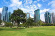 city greenbelt park in shanghai
