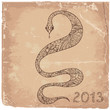 Grunge background with a snake symbol 2013