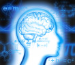 Intelligenz 5