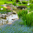 Photo: garden with pond in asian style garden with pond in asian style