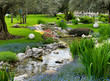 garden with pond in asian style