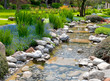 garden with pond in asian style
