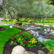 Spring flowers in the Asian garden