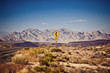 Death Valley National Park