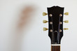 Guitar headstock