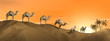 Camels in the desert