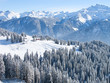 Winter landscape