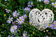 Herz auf einer Blumenwiese