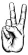 Vector: Victory V salute or peace hand sign Victory V salute or peace hand sign