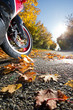 Herbst