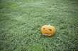 Halloween Pumpkin, horror