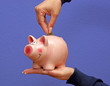 Sparschwein - Savings Pig