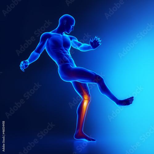 Illustration: Knee joints sporstman anatomy Knee joints sporstman anatomy
