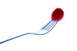 Fork and red tomatoes