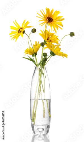 Photo: beautiful yellow flowers in vase isolated on white beautiful yellow flowers in vase isolated on white
