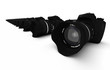 DSLR Konzept - Digitale Spiegelreflexkameras in Reihe 1